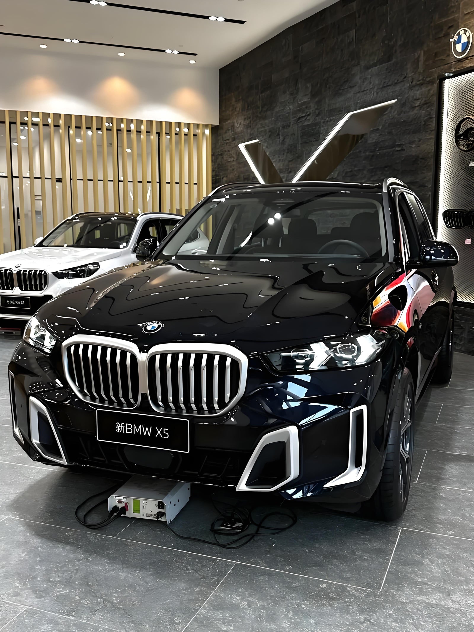 The BMW X5: Where Legacy Meets Limitless Capability