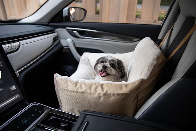 Elevated Dog Car Seat for Small Dogs | Booster Seat with Safety Tether