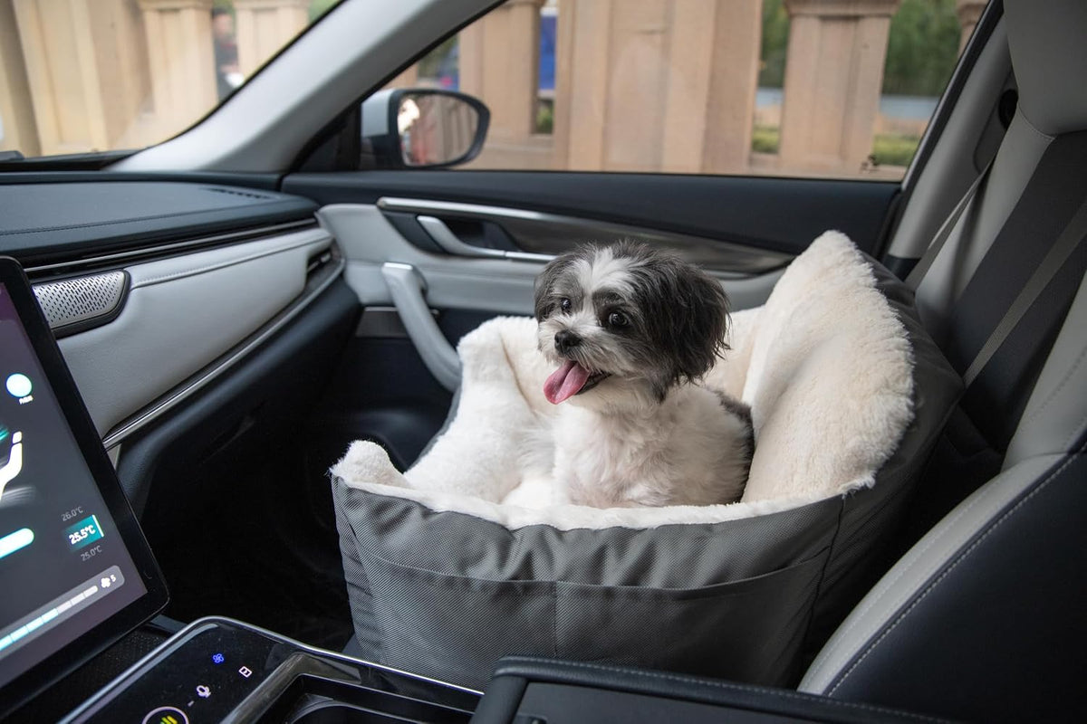 Elevated Dog Car Seat for Small Dogs | Booster Seat with Safety Tether