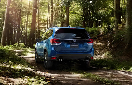 Subaru Forester: Where Capability Meets Everyday Confidence