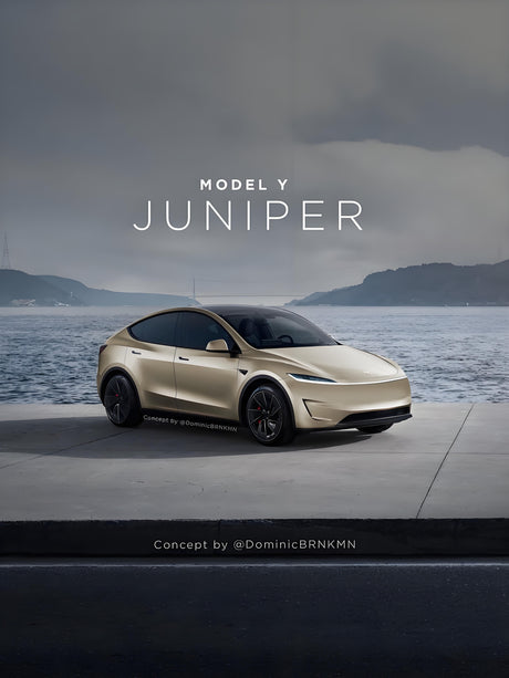 The Tesla Model Y: Where Innovation Meets Adventure in the Modern Electric Era