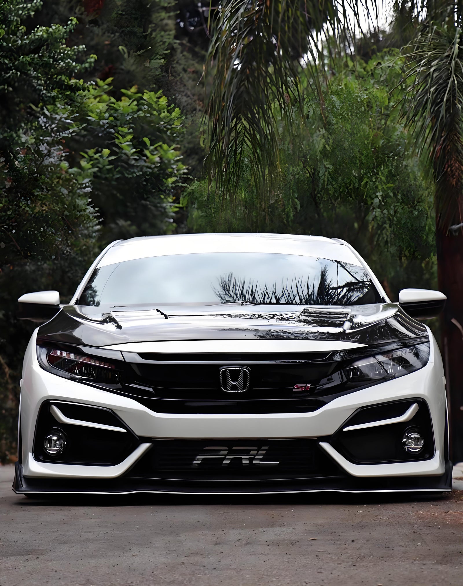 The Honda Civic: Where Legacy Meets Tomorrow's Drive