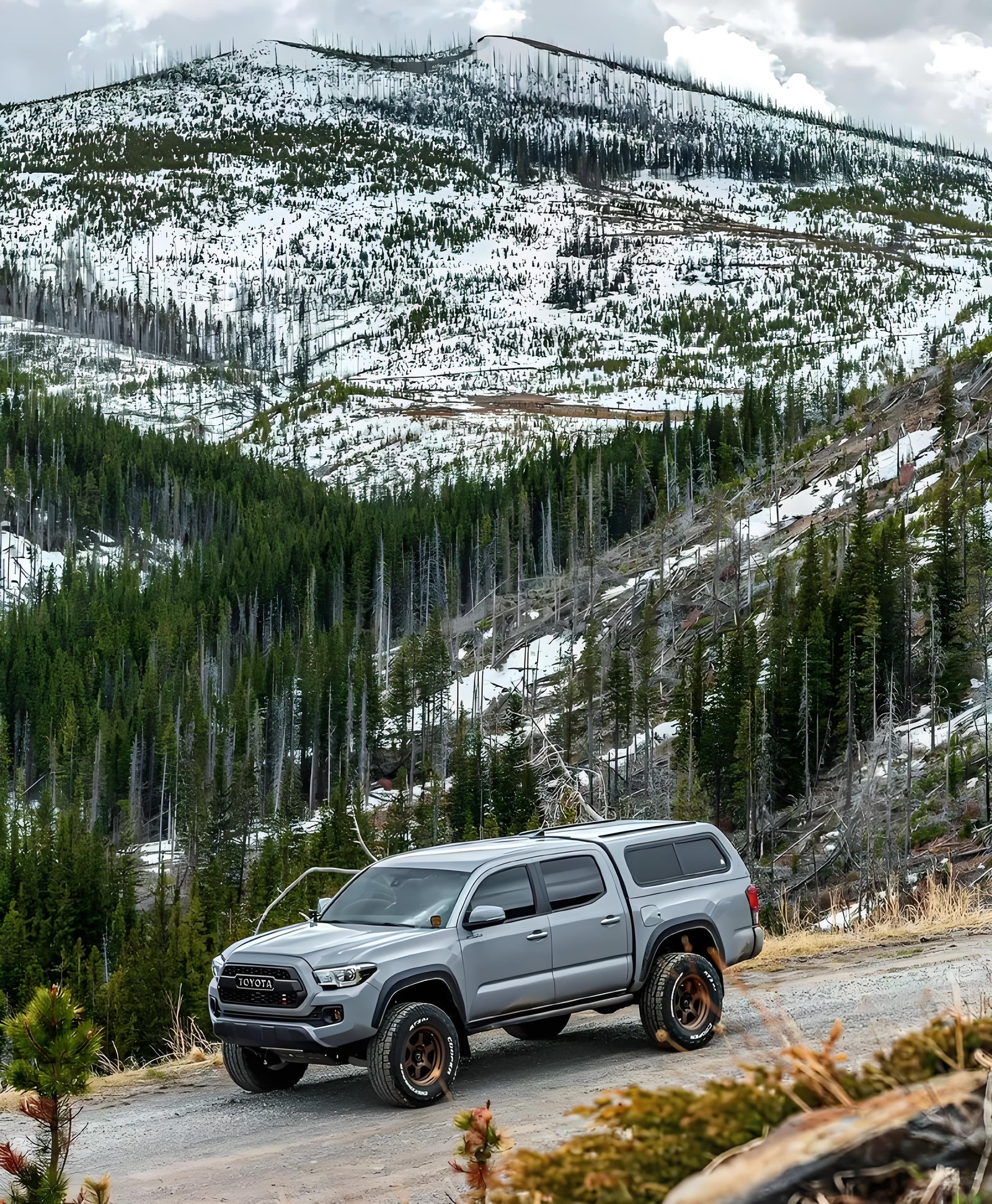 The Unstoppable Legacy: Your Journey, Powered by Toyota Tacoma