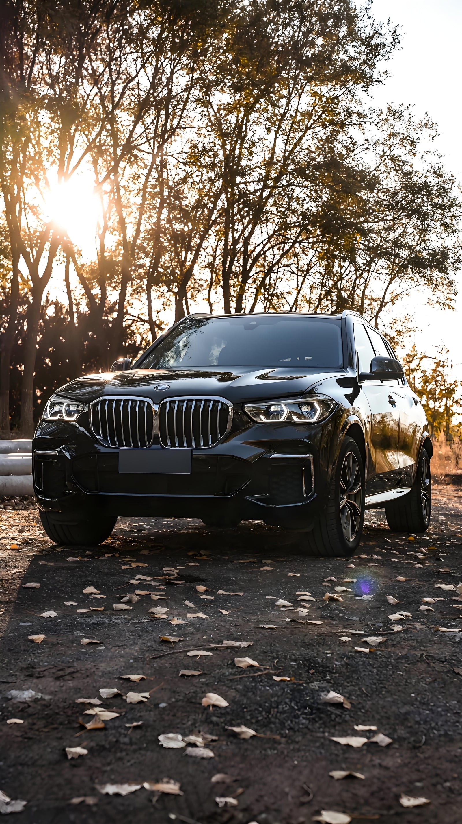 The Ultimate Driving Machine
