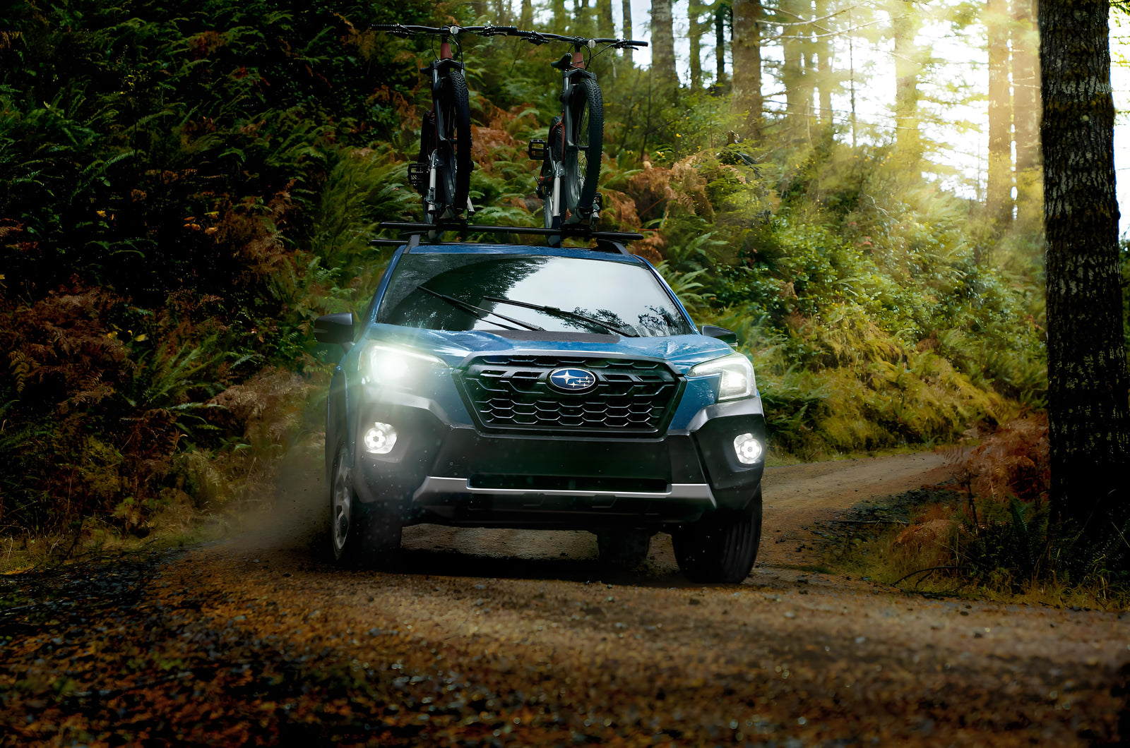 The Subaru Forester: Where Capability Meets Everyday Confidence