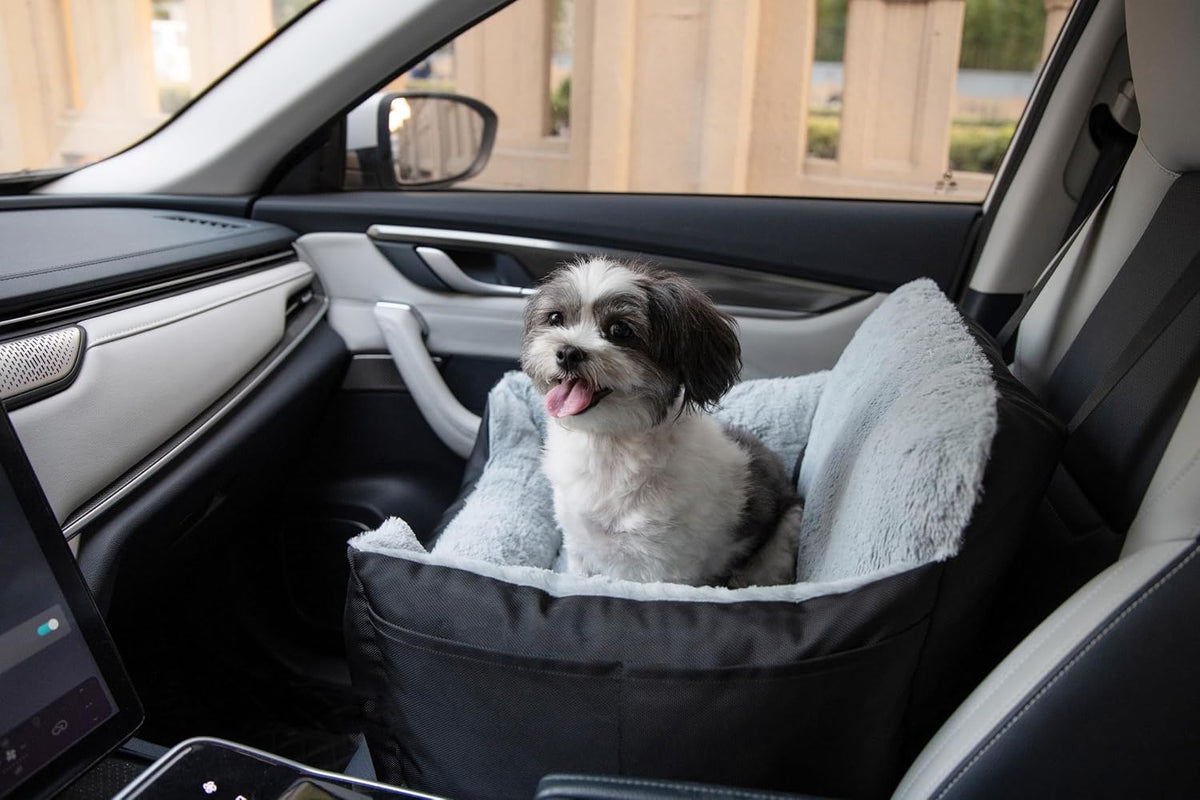 Elevated Dog Car Seat for Small Dogs | Booster Seat with Safety Tether